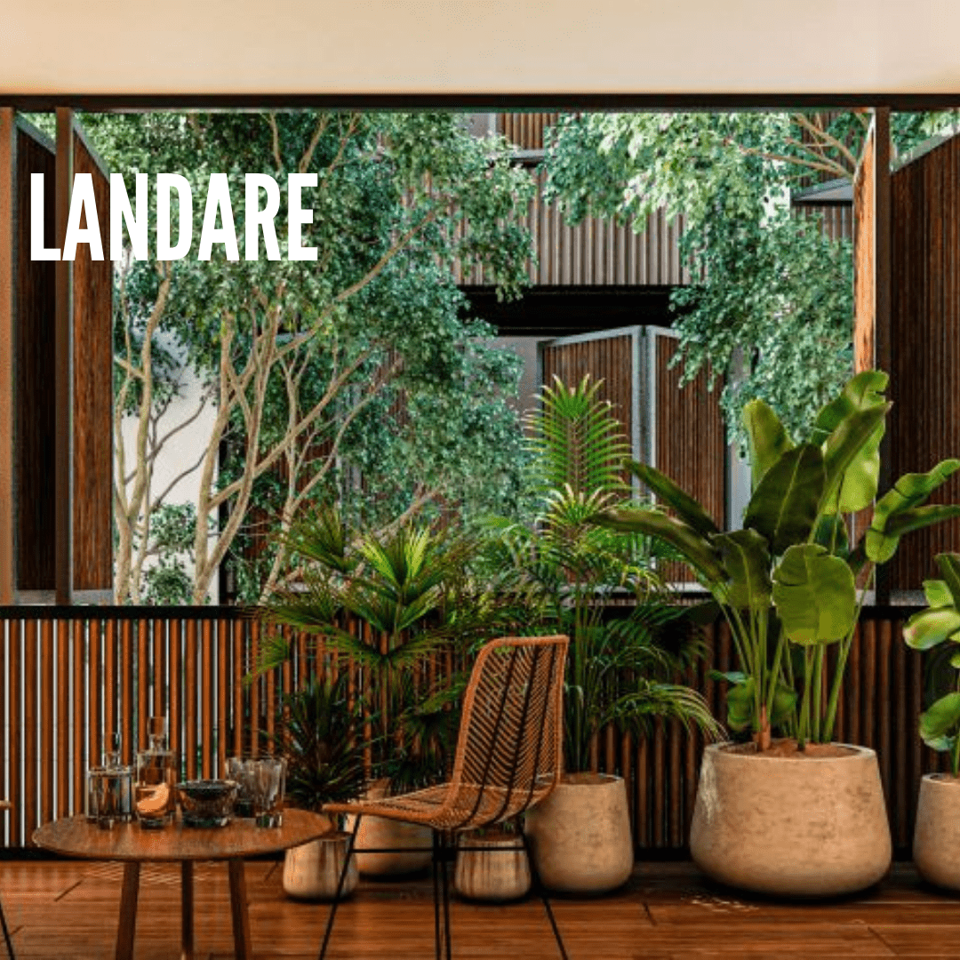 Landare