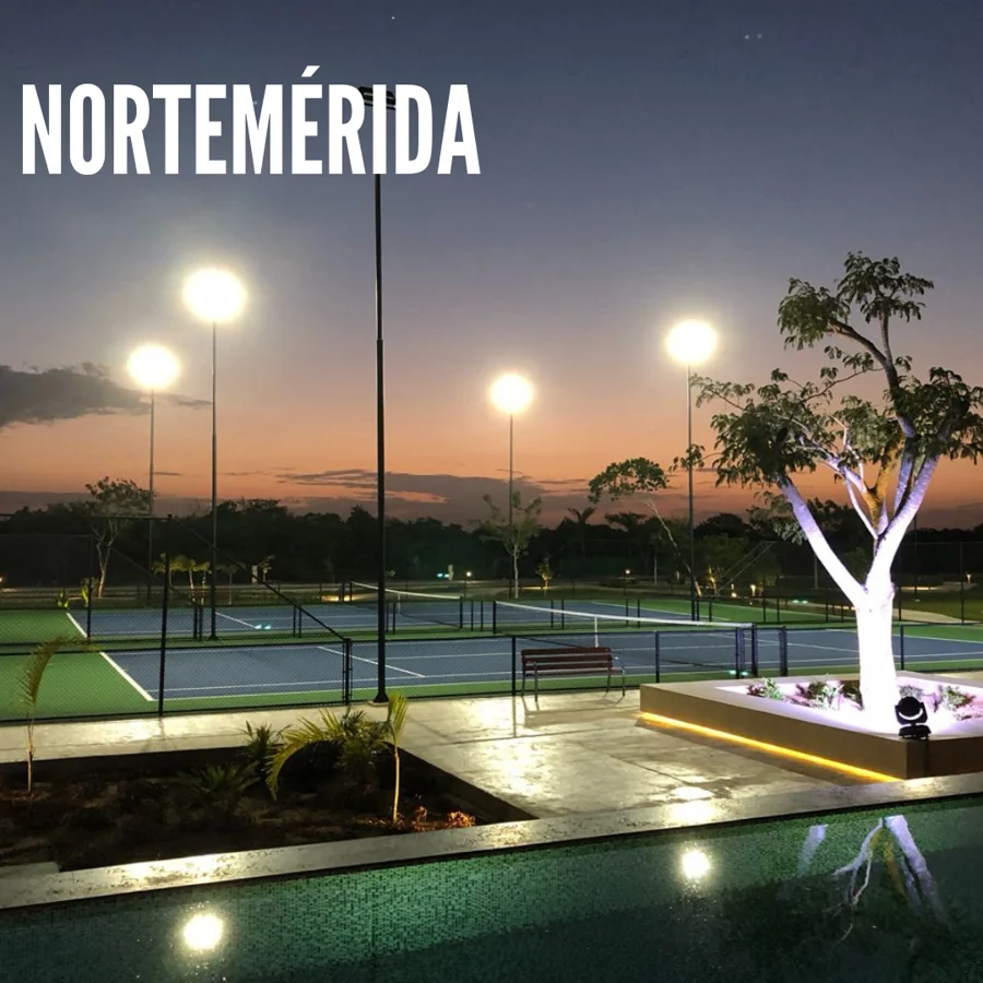Nortemérida