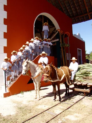 Sotuta de Peón