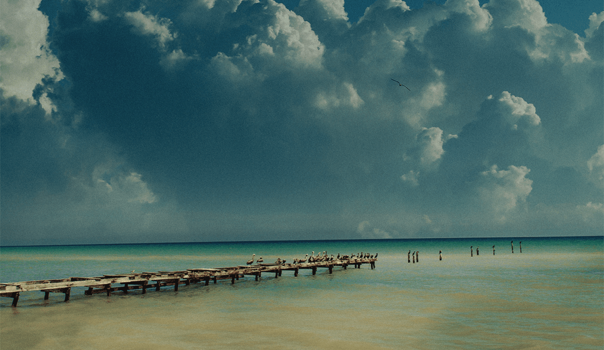 Villas Nalú: Your Dream Retreat in Chuburná Puerto